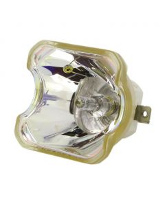 Original Ushio (NSHA) Bulb Only (#OB0108)