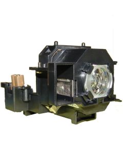 QL0161_1.jpg