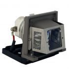 Projector Lamp Module RLC-023, VLT-XD420LP, VLT-XD430LP, 57.J450K.001, 8954, PD-X631 LAMP, HE-W721 LAMP, SLP511 (#GM0015)