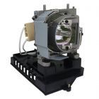 PrimeLamp Module NP19LP 60003129, BL-FP230G / SP.8JQ01GC01 (#GMHQ0010)