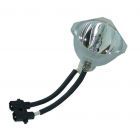 Original Phoenix (SHP) Bulb Only (#OB0162)