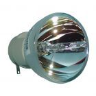 Original Osram (P-VIP) Bulb Only (#OB0183)