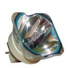 Original Philips (UHP) Bulb Only (#OB0196)