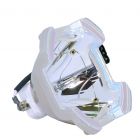 Original Ushio (NSHA) Bulb Only (#OB0263)