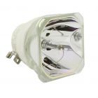 Original Ushio (NSHA) Bulb Only (#OB0287)