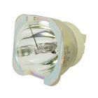 Original Philips (UHP) Bulb Only (#OB0407)