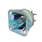 Original Philips (UHP) Bulb Only (#OB0428)