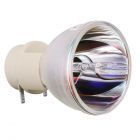 Original Osram (P-VIP) Bulb Only (#OB0447)