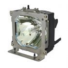 QualityLamp Module EP8775LK / 78-6969-9295-3, RLC-250-03A, LAMP-030, TRAVELLER 787 LAMP, 456-225, 456-219, DT00341, ZU0273 04 4010, SLC HB2 LAMP (#QL0071)