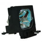 QualityLamp Module LMP-P201 (#QL0290)