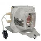 QualityLamp Module BL-FP240G / SP.7AZ01GC01, BL-FP240E / SP.78V01GC01, BL-FU220E / SP.7C601GC01, BL-FU200D / SP.7D101GC01, BL-FU240E / SP.7G6R1GR01, SP-LAMP-105 (#QL1349)